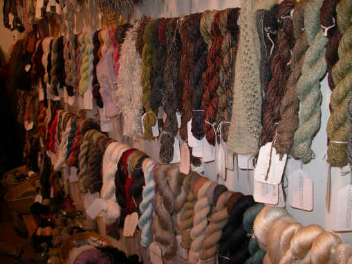 WWapril06 002.jpg (1229336 bytes)