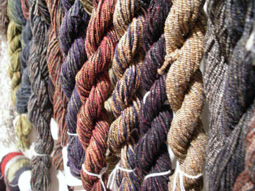 WWapril06 021.jpg (1377612 bytes)