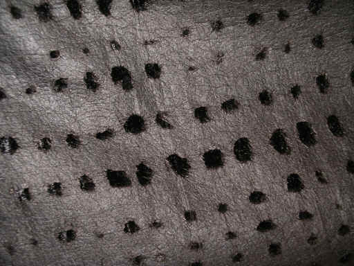 WWapril06 048.jpg (1481969 bytes)